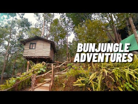 Bunjungle Adventures 